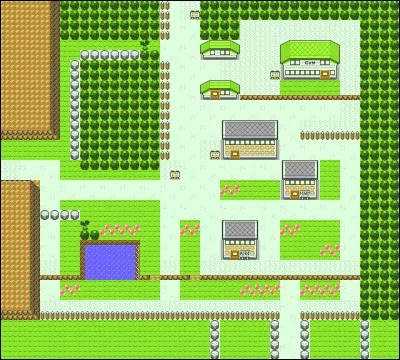 Dans ces versions, qui est le champion de l'arène de Jadielle (Kanto) ?