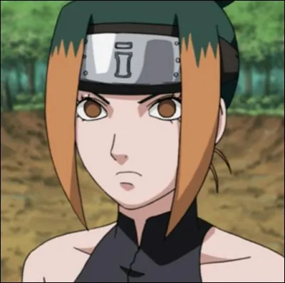 Quel est ce personnage ?