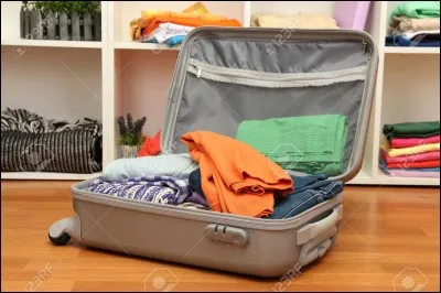 Tu préfères être habillé en :