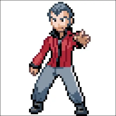 Le père du héros (ou de l'héroïne) est champion de l'arène de Clémenti-Ville. Quel est le type de ses Pokémon ?