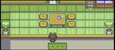 Sur la route 110, on peut entrer dans la Maison des Pièges. Qu'est-ce que le maître des lieux propose au joueur ?