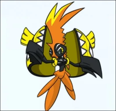 Quel type les Toko ont-ils en commun ?