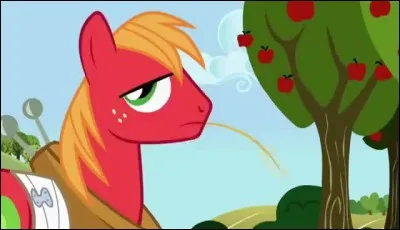 De qui Big McIntosh est-il amoureux ?