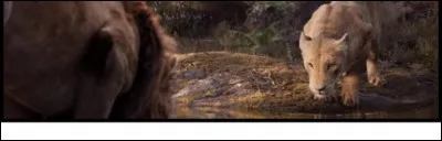 Comment Nala retrouve-t-elle Simba (dans Le Roi lion 1) ?