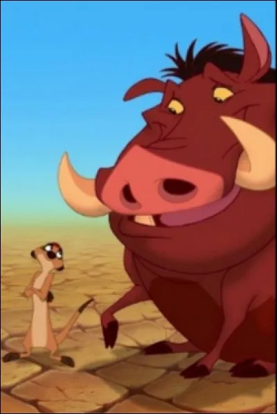 Qui sont Timon et Pumba ?