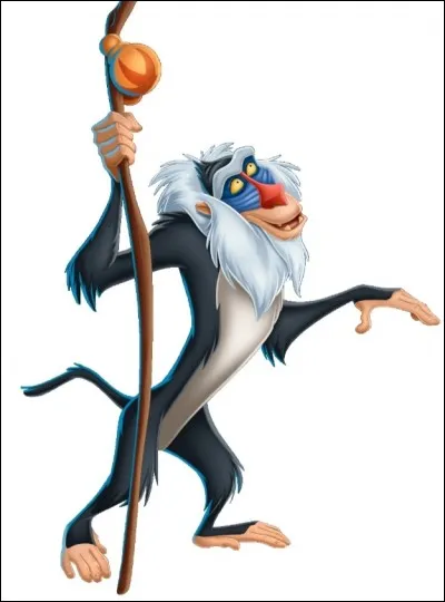 Qui est Rafiki ?