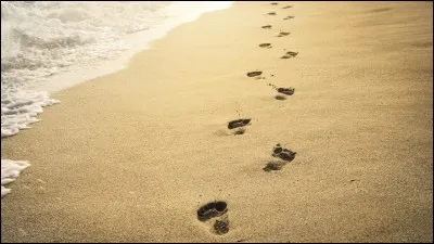 Tu dois te rendre à un lieu de réunion secret. Quel sort utilises-tu pour effacer tes pas ?