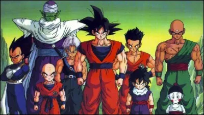 Combien y a-t-il de Tenkaichi Budokai ?