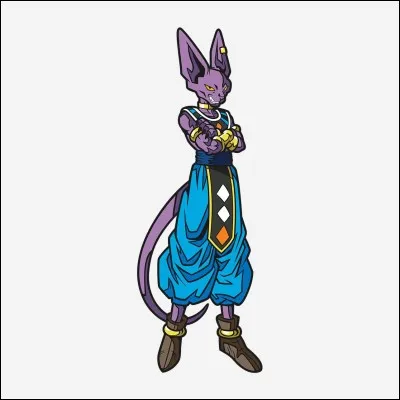 À quoi servent les dieux de la Destruction ?