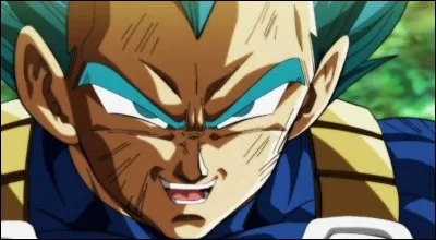 Quel est le nom des enfants de Vegeta ?