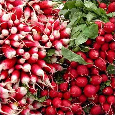 Comment s'appelle le frère de Goku ?