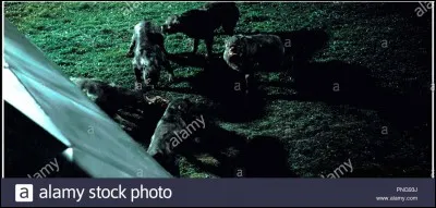 Comment Katniss reconnaît-elle les tribus mortes dans les mutations génétiques ?