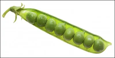 Quelle était la particularité de John Brower, décédé en 1983 ?