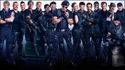 Enfin, dans quelles séries de films, plusieurs acteurs de films d'action apparaissent-ils ensemble ?