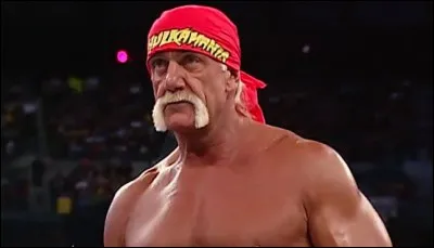 Hulk Hogan est un acteur mais aussi un...