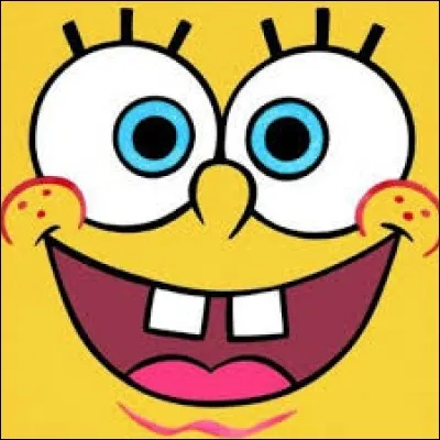 Qui vit dans un ananas dans la mer ?