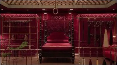 Comment Ana appelle-t-elle la pi&egrave;ce r&eacute;serv&eacute;e aux pratiques sexuelles de Christian ?