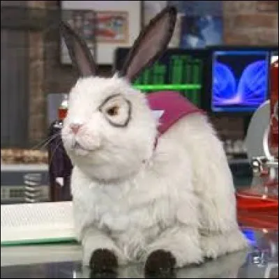 Comment s'appelle-t-il ?