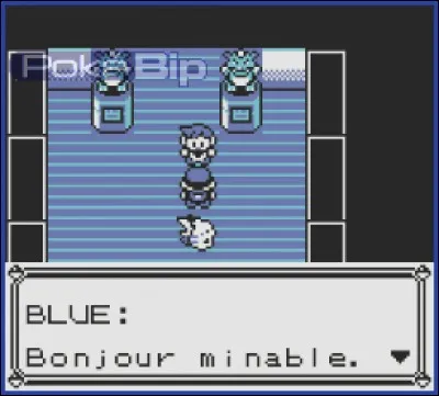 Dans la première salle du Conseil 4 de Pokémon Rouge, Bleu et Jaune, il est possible...