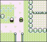 Quiz Pokemon