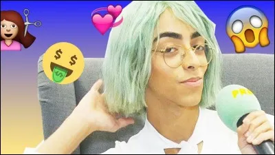 Comment s'appelle cette perruque ?