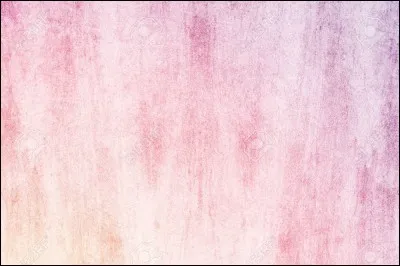 Aimes-tu les trucs de ''filles'' (les princesses, les fées) ?