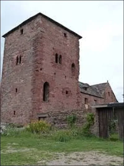 Je vous propose de partir à la découverte de la grange monastique de Ruffepeyre, à Mayran. Commune d'Occitanie, dans l'arrondissement de Villefranche-de-Rouergue, elle se situe dans le département ...