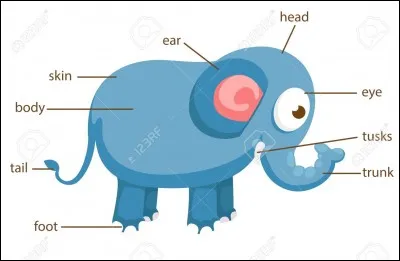 "Elephant Man" est le titre d'un film réalisé par David Lynch.