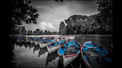 Qui chante "Tous les bateaux, tous les oiseaux" ?