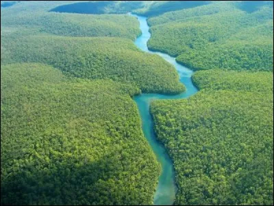 Longueur : 6 992 km 
Embouchure : Océan Atlantique 
Pays traversés : Pérou, Colombie ...
à savoir : Son débit moyen est de loin le plus élevé de toute la planète. 
Quel est ce fleuve ?