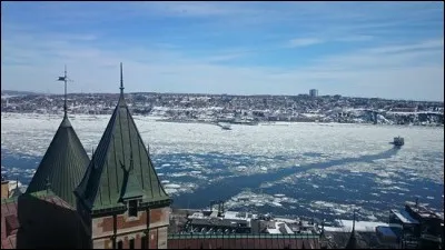 Longueur : 1 197 km 
Embouchure : Océan Atlantique 
Pays traversés : Canada, États-Unis. 
à savoir : Son estuaire est le grand sur Terre. 
Quel est ce fleuve ?