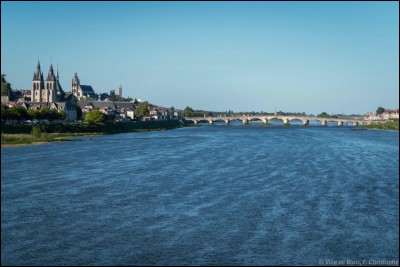 Longueur : 1006 km 
Embouchure : Golfe de Gascogne
Pays traversé : France 
à savoir : Le seul grand fleuve sauvage survivant en France 
Quel est ce fleuve ?