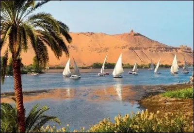 Longueur : 6 700 km 
Embouchure : Mer Méditerranée
Pays traversé : Égypte. 
à savoir : C'est sur ce fleuve que fut abandonné Moïse. 
Quel est ce fleuve ?