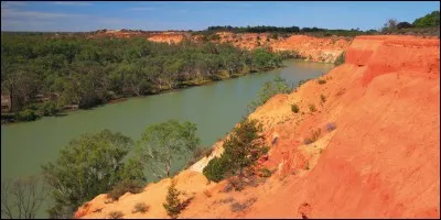 Longueur : 2 530 km 
Embouchure : Océan Indien 
Pays traversé : Australie. 
à savoir : Connu sous le nom de " Millewa " dans la culture aborigène. 
Quel est ce fleuve ?