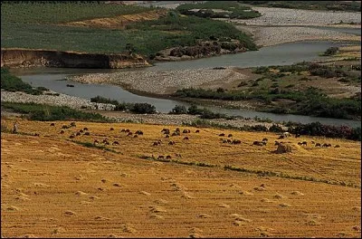 Longueur : 2 780 km 
Embouchure : Golfe Persique 
Pays traversés : Syrie, Irak ...
à savoir : On y trouve le barrage Atatürk. 
Quel est ce fleuve ?