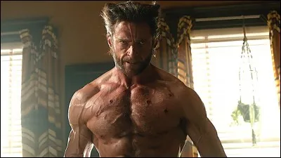 "Cyclope ? Tornade ?...et vous c'est quoi ? Roulette !?"
Du calme Wolverine... quel est ce film ?