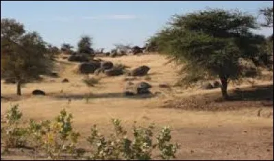 Quelle est la capitale du Soudan ?