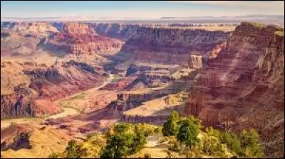 Dans quel État des États-Unis peut-on voir le parc national du Grand Canyon ?