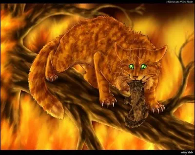 Comment s'intitule le livre 4 du cycle 1 ?