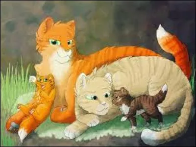 Comment s'intitule le livre 6 du cycle 1 ?