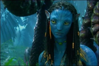 Quel est le nom de ce personnage d'Avatar ?