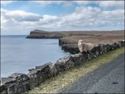 Laquelle de ce îles n'est pas en Méditerranée ?