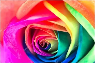 Quelle est ta couleur préférée ?