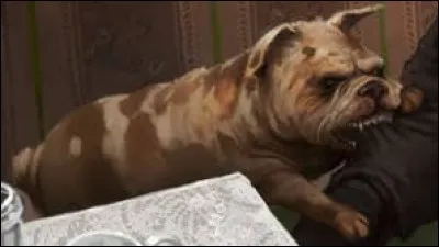 Jusqu'à quelle heure Harry Potter est-il resté dans l'arbre en attendant que sa grand-tante Marge consente à rappeler Molaire son chien aboyant au pied du tronc ?