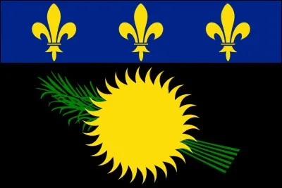 Ce drapeau est celui...
