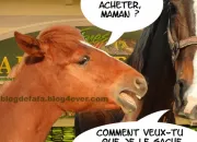 Quiz Les mots du cheval