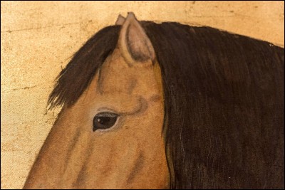 Passons de la culture générale aux termes réels d'équitation. 
Comment nomme-t-on les ''cheveux'' du cheval ?