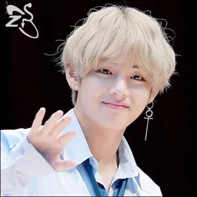 Quand les BTS ont-ils fait leurs débuts ?