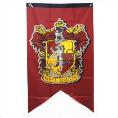 Dans quelle maison appartiens-tu ?