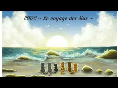 Comment s'intitule le livre 3 du cycle 2 ?